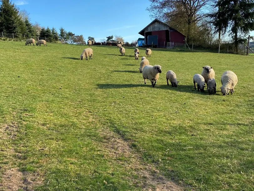 Familie  Sachs in Mernes